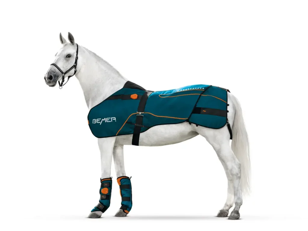 Zestaw Bemer Horse